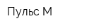Пульс-М