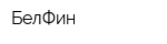 БелФин