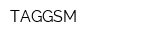 TAGGSM