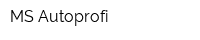 MS-Autoprofi