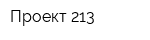 Проект 213