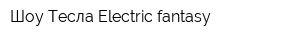 Шоу Тесла Electric fantasy