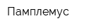 Памплемус