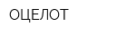 ОЦЕЛОТ