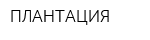 ПЛАНТАЦИЯ