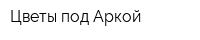 Цветы под Аркой