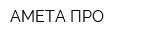 АМЕТА ПРО