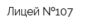 Лицей  107