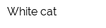 White cat