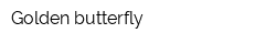 Golden butterfly