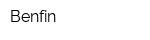 Benfin