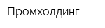 Промхолдинг