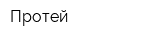 Протей