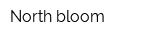 North bloom
