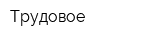 Трудовое