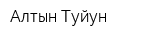 Алтын Туйун