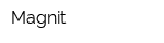 Magnit