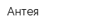 Антея
