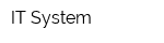 IT System