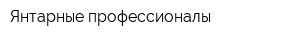 Янтарные профессионалы