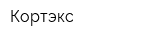Кортэкс