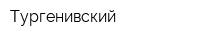 Тургенивский