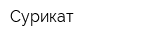 Сурикат