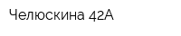 Челюскина 42А