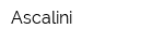 Ascalini