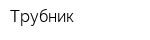 Трубник