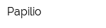 Papilio