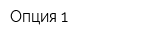 Опция 1