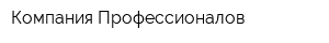 Компания Профессионалов