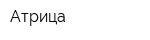 Атрица