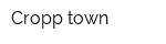 Cropp town