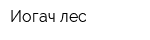 Иогач лес