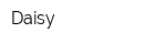 Daisy