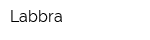 Labbra