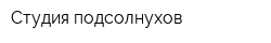 Студия подсолнухов