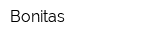 Bonitas
