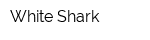 White Shark