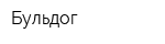 Бульдог