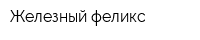 Железный феликс