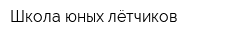Школа юных лётчиков