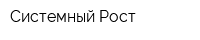 Системный Рост