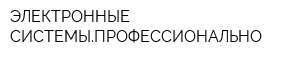 ЭЛЕКТРОННЫЕ СИСТЕМЫПРОФЕССИОНАЛЬНО