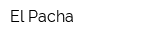 El Pacha