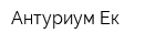 Антуриум-Ек