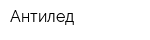 Антилед