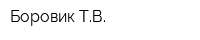 Боровик ТВ